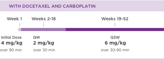 kanjinti dosing with docetaxel and carboplatin for adjuvant
    treatment