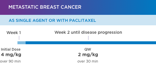 kanjinti dosing as single agent or with paclitaxel for breast cancer