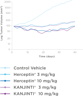 KANJINTI® Nonclinical Data – Antitumor Activity in Gastric
Cancer Xenograft Study