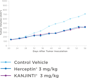 KANJINTI® Nonclinical Data – Antitumor Activity in Breast
Cancer Xenograft Study