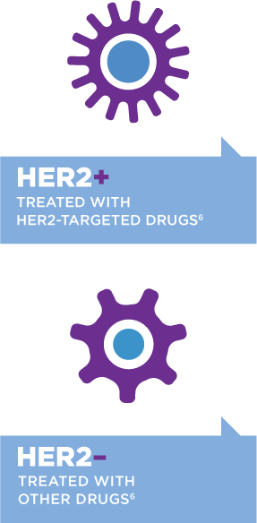 HER2+ Treated with HER2-targeted Drugs, HER2-negative Treated with Other Drugs
